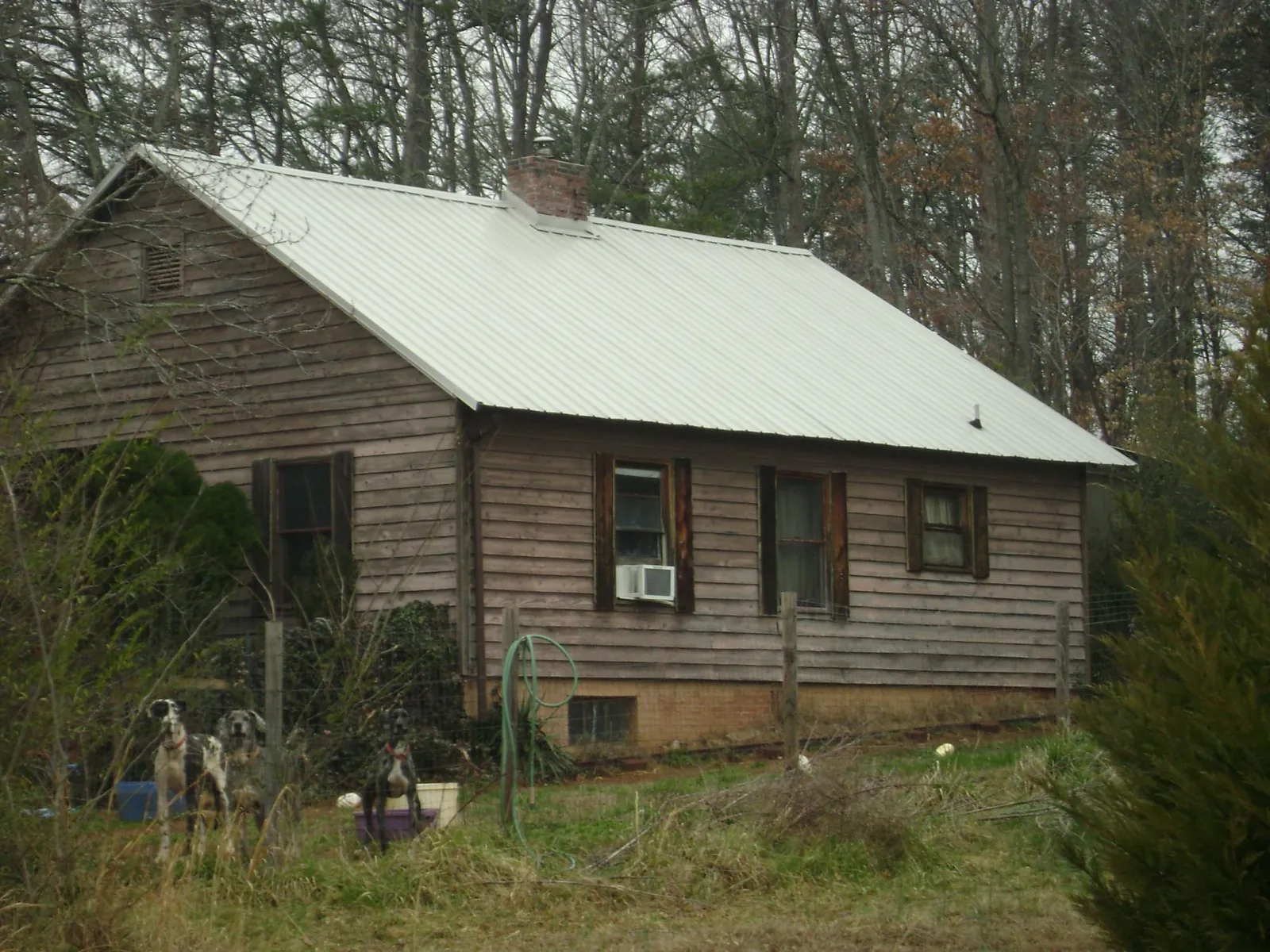 White metal roof on an old wood sided farmhouse, from a Metal Roof Installation job in Whitefish